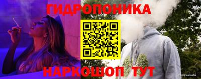 гидропоника Можга