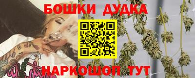 гидропоника Можга