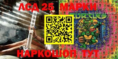 гидропоника Можга