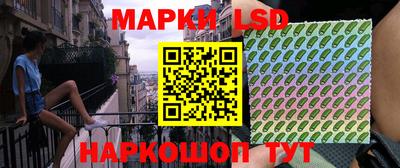 гидропоника Можга